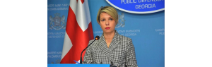 Грузинский омбудсмен недовольна отношением государства к ЛГБТ+