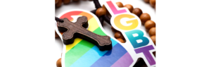 Diversitatea și orientarea sexuală, cartoful fierbinte din legile Educației